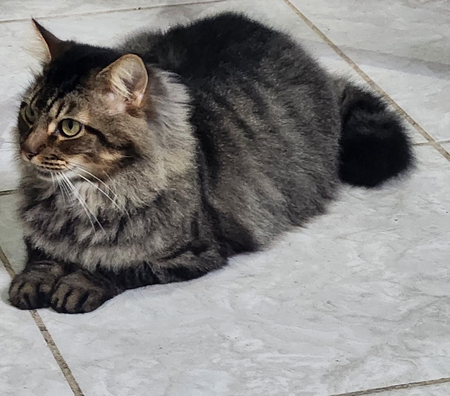 Júlio 
