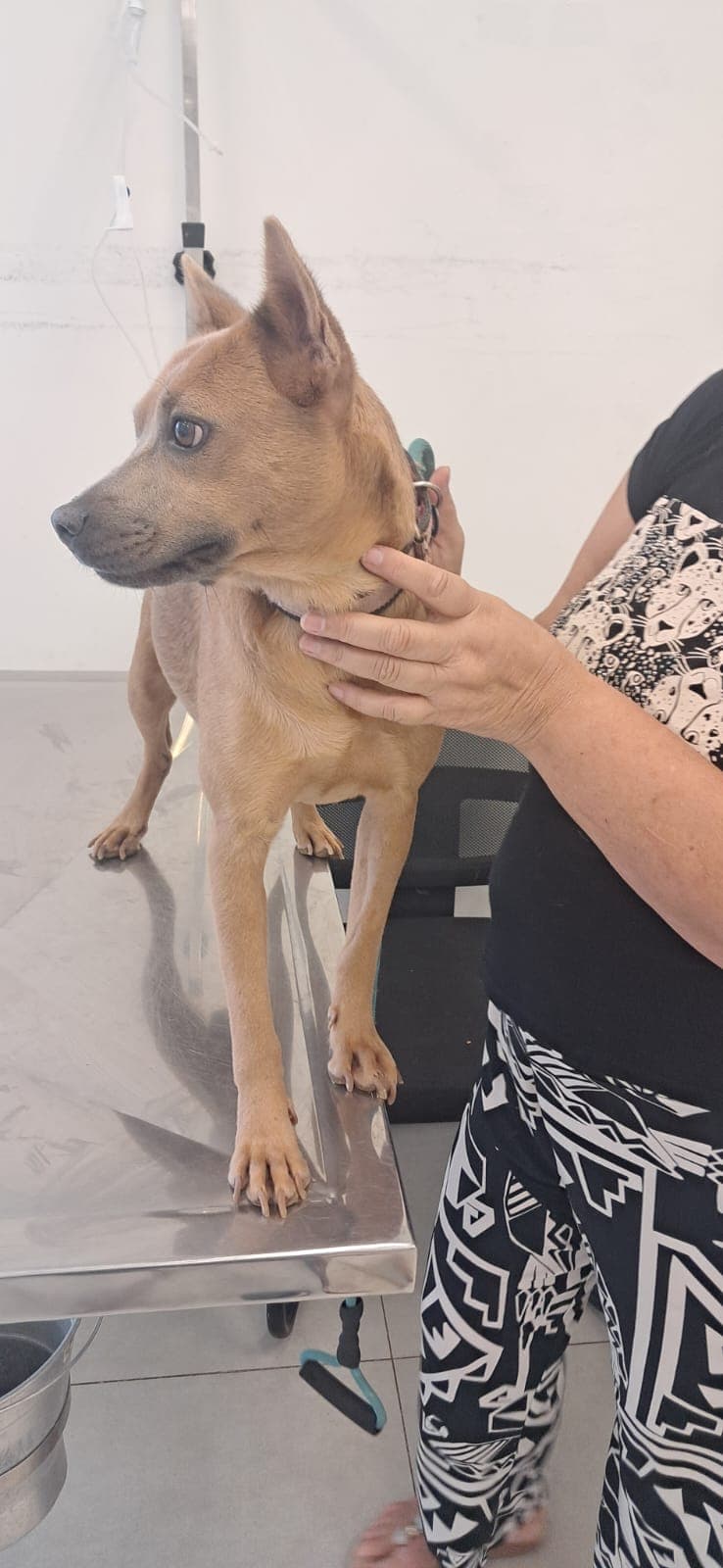 Suzi