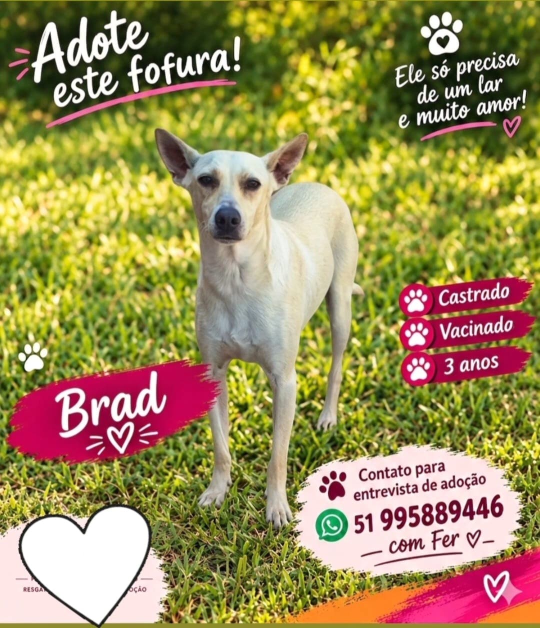BRAD