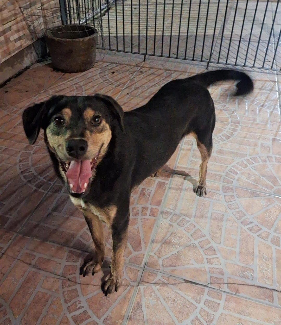 ESMERALDA