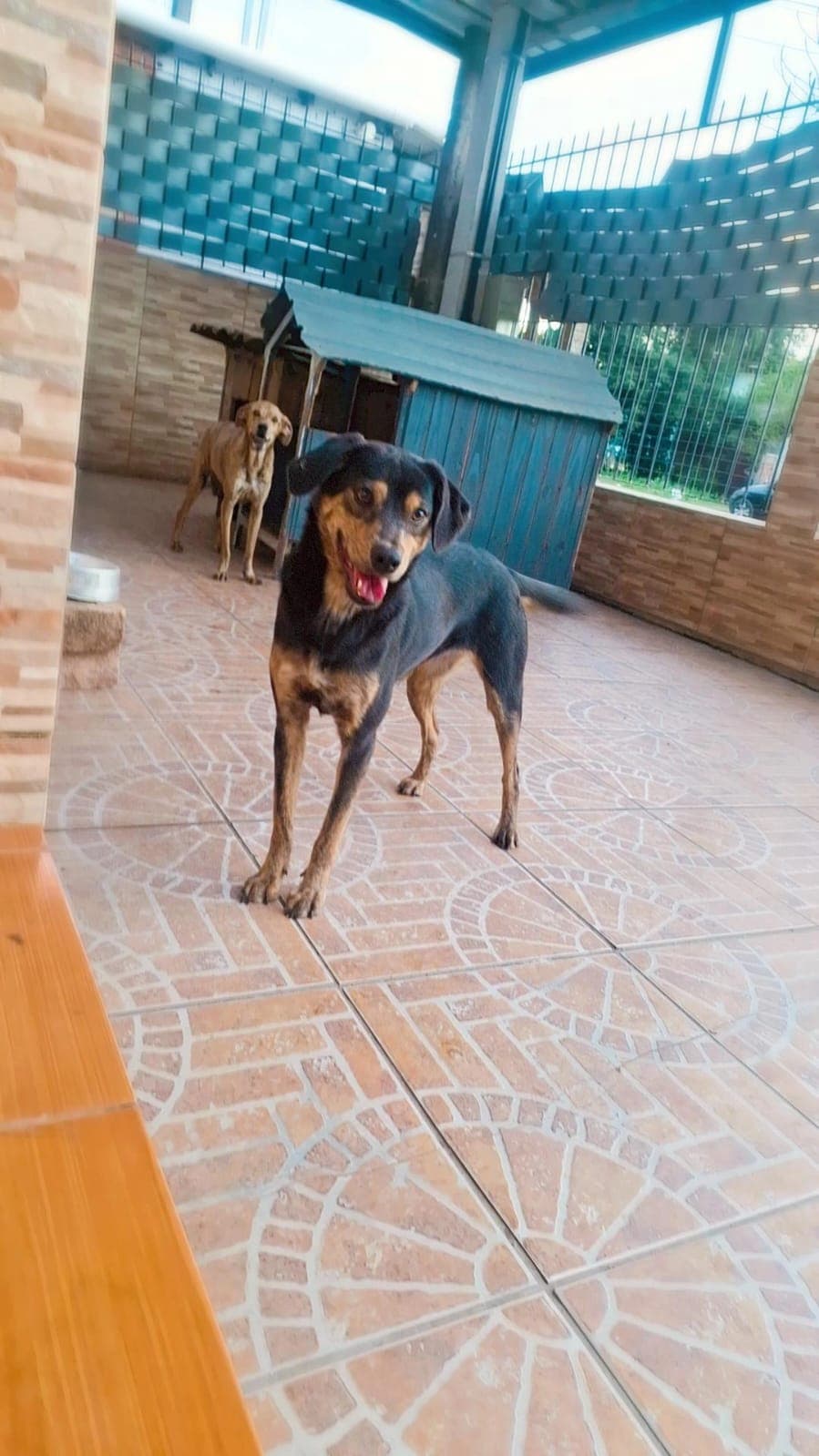 ESMERALDA