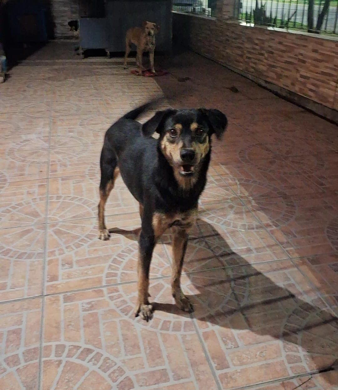 ESMERALDA