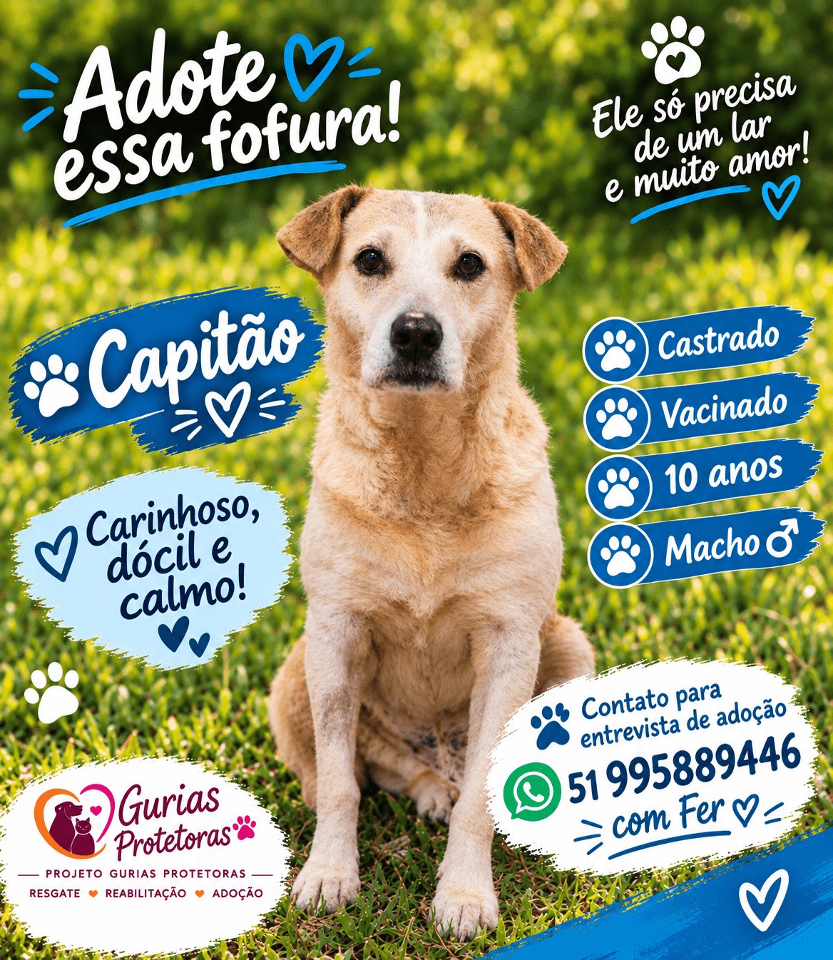 Capitão