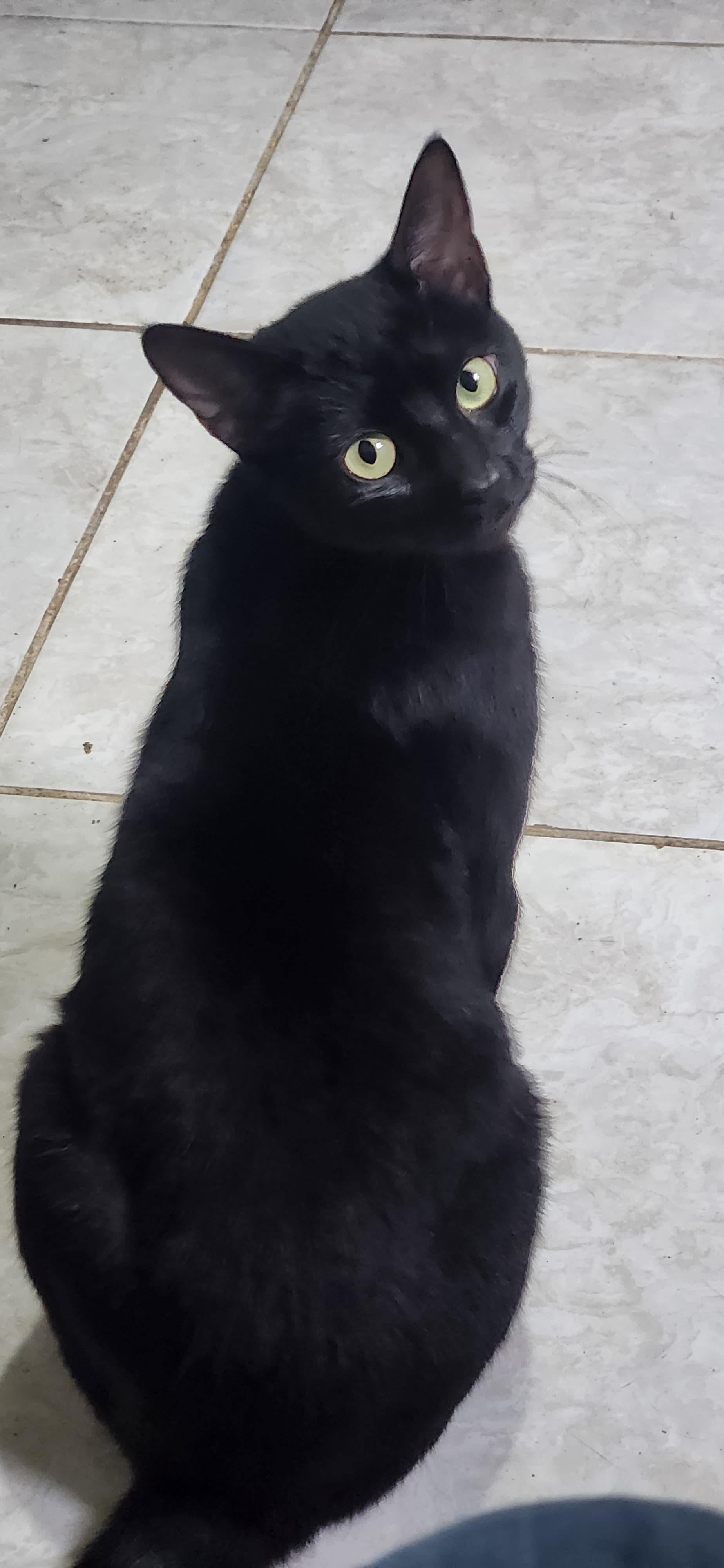 Salem