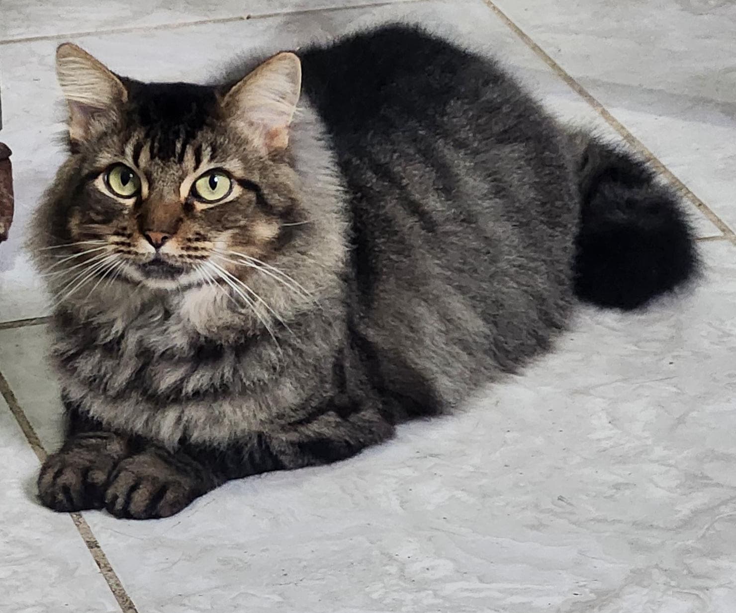 Júlio